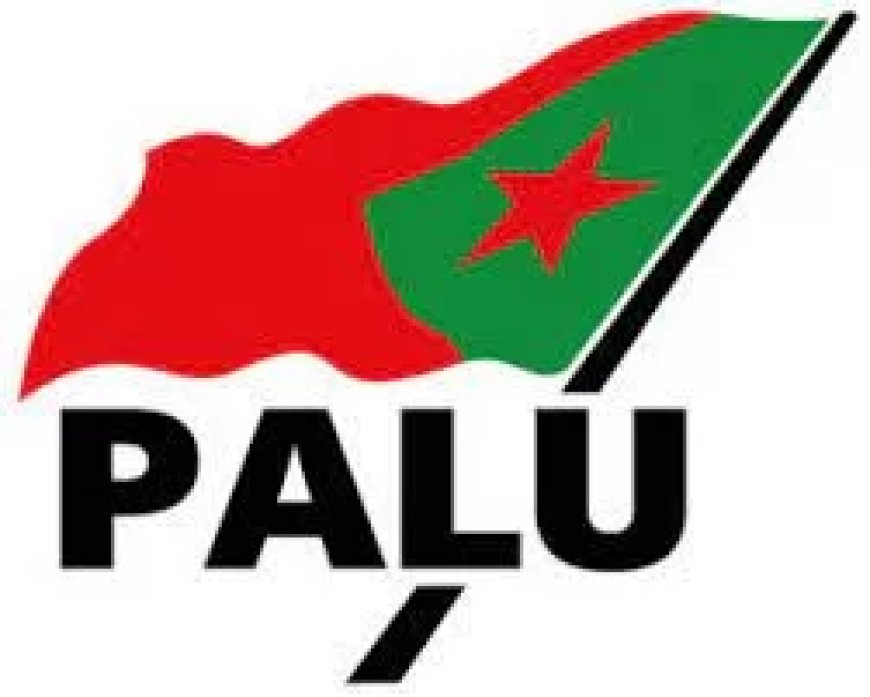 PALU uit essentiële bezwaren wijzigingen rechtsstaat en grondwet