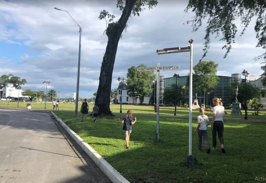 Het plein dat verdween en de boom die te veel wist