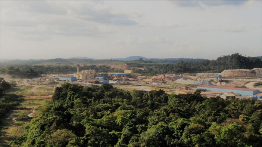 Elskamp: ‘Illegale gouddelvers moeten concessie Rosebel Gold Mines verlaten’