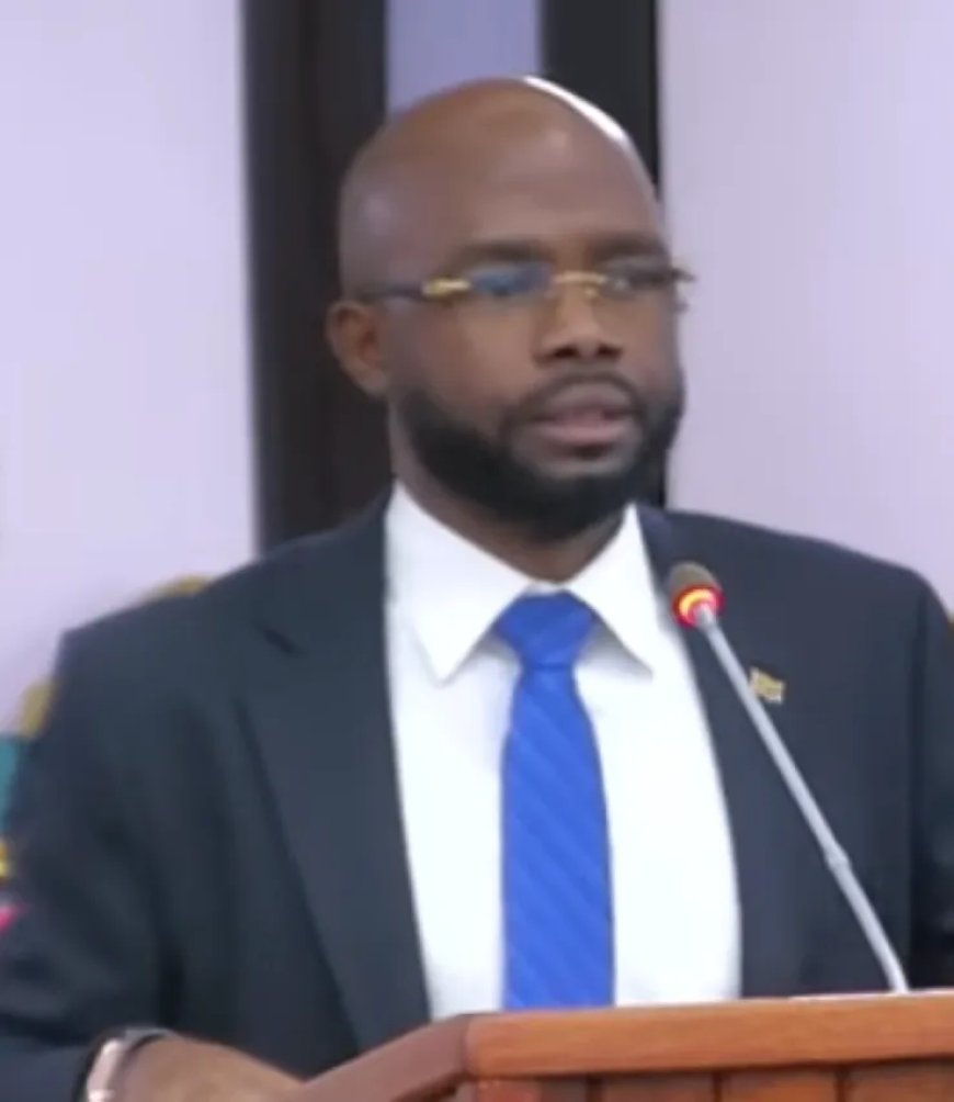 Kritiek in DNA op inzet buitenlandse arbeidskrachten zonder werkvergunning door Zijin