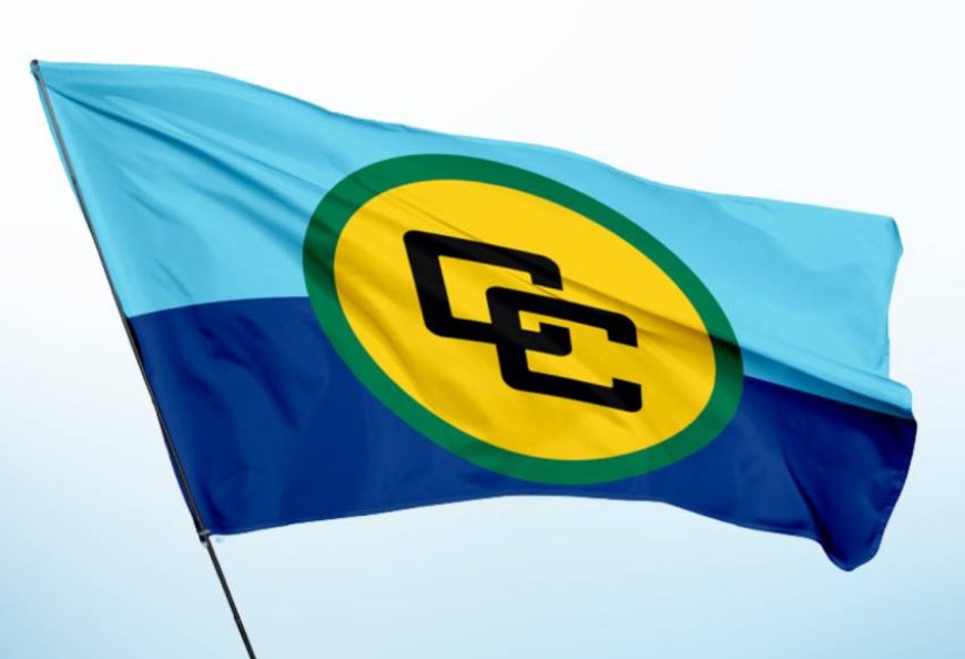 Caricom steunt nieuwe interim-regering Haïti