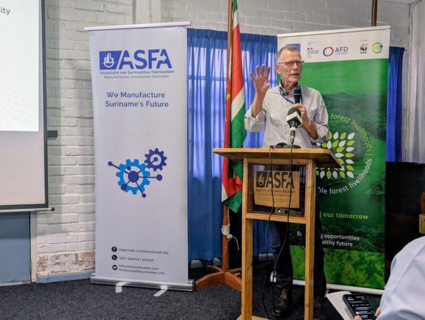 Van rondhoutexport naar uitvoering van verwerkt hout: ‘Het moet gefaseerd en samen met de sec