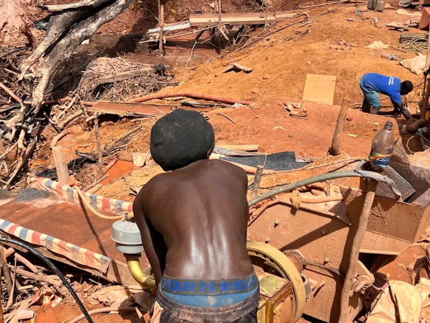 Overheid moet wijsheid betrachten in oplossing conflict te Nieuw Koffiekamp