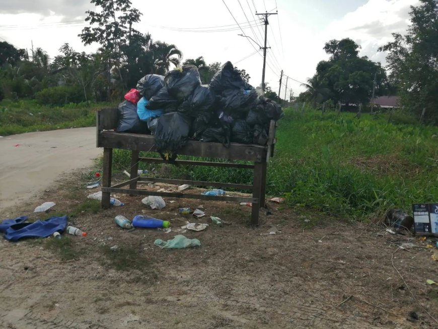 Vuilophaal delen Lelydorp niet optimaal