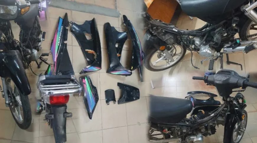 Drie jonge bromfietsdieven in de kraag gevat