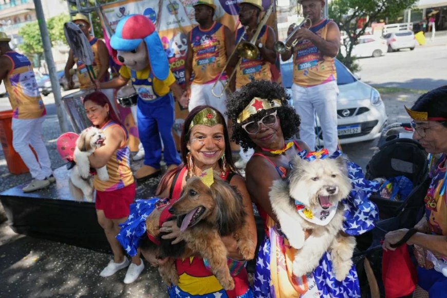 Honden paraderen tijdens carnaval in Rio; protest tegen dierenmishandeling