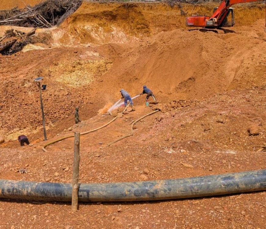 Gemengde reacties op verlaging royalty’s