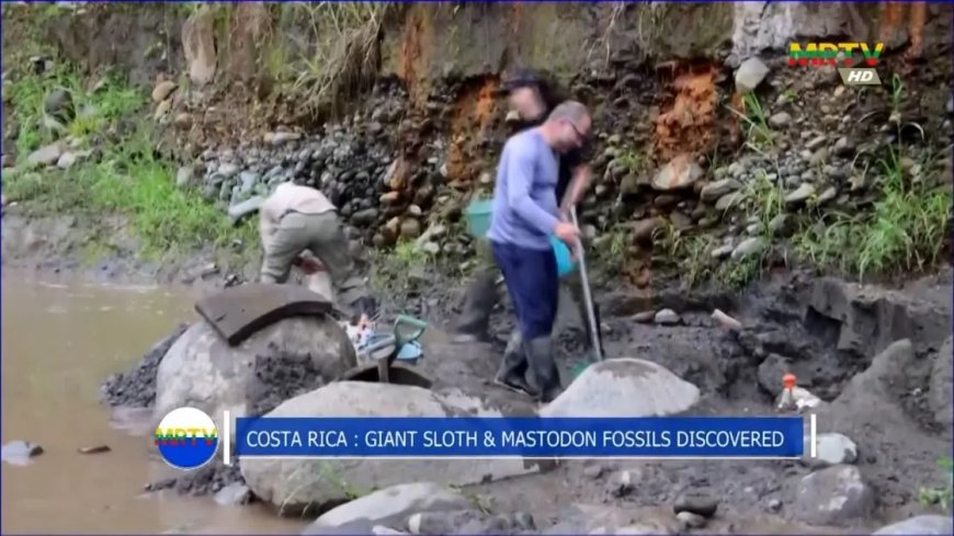 Opmerkelijk – 10.000 tot 40.000 jaar oude fossielen van mastodont en reuzenluiaard gevonden i