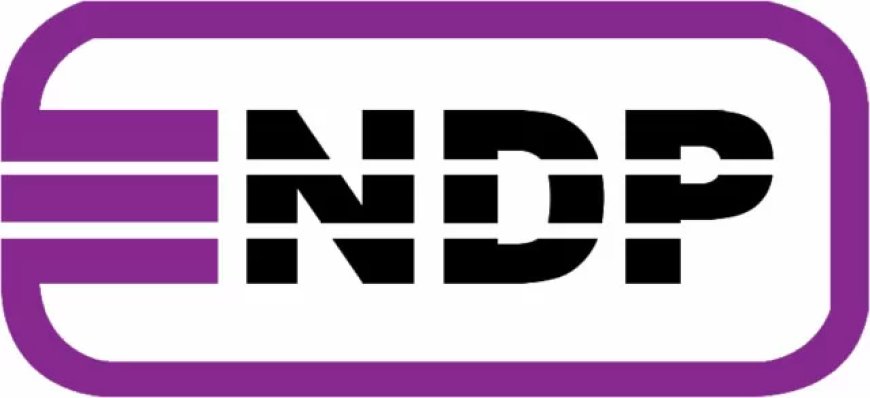 NDP: Het jaar van beweging en vastberadenheid