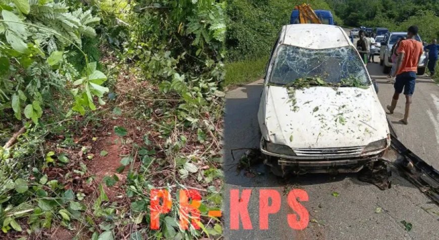 Identiteit bekend omgekomen bestuurder auto die in ravijn reed