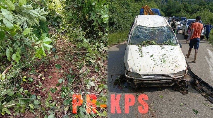 Bestuurder overlijdt bij verkeersongeval Brownsweg