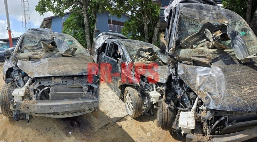 Roekeloze autobestuurder over de kop bij vluchtpoging