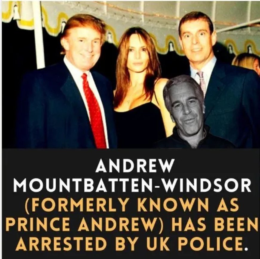 Arrestatie Andrew Mountbatten-Windsor leidt tot internationale onderzoeken rond Epstein-netwe