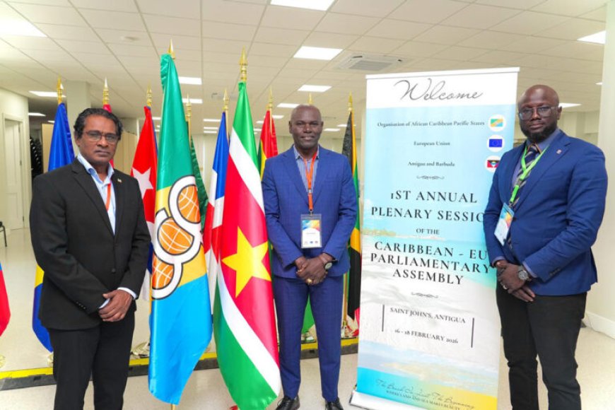 ‘Suriname moet structureel worden ondersteund voor koolstofdiensten’