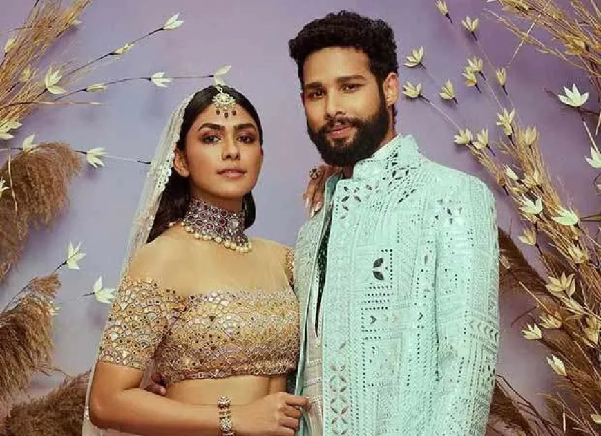 ‘Saandaar’: Mrunal Thakur & Siddhant Chaturvedi’s chemie redt de show
