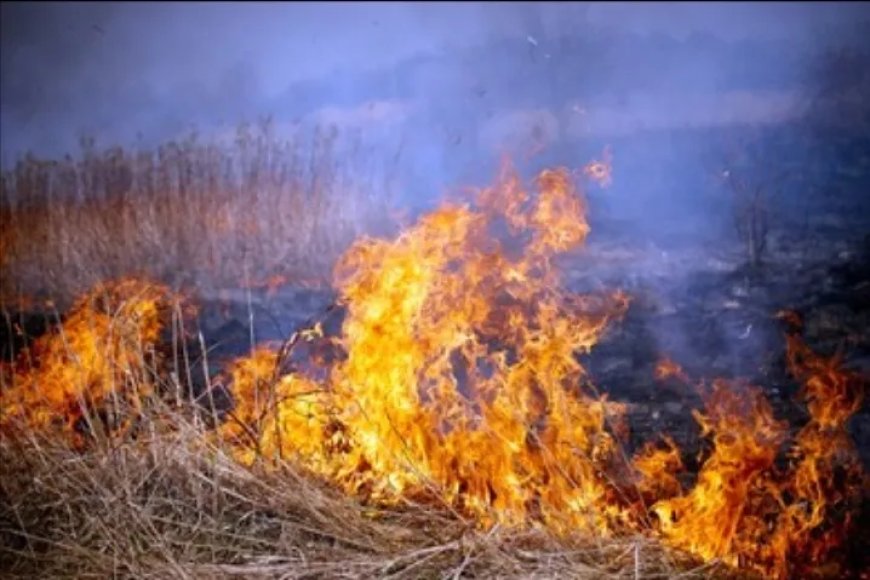 Felle zon zorgt voor droge bermen en gevaarlijke grasbranden