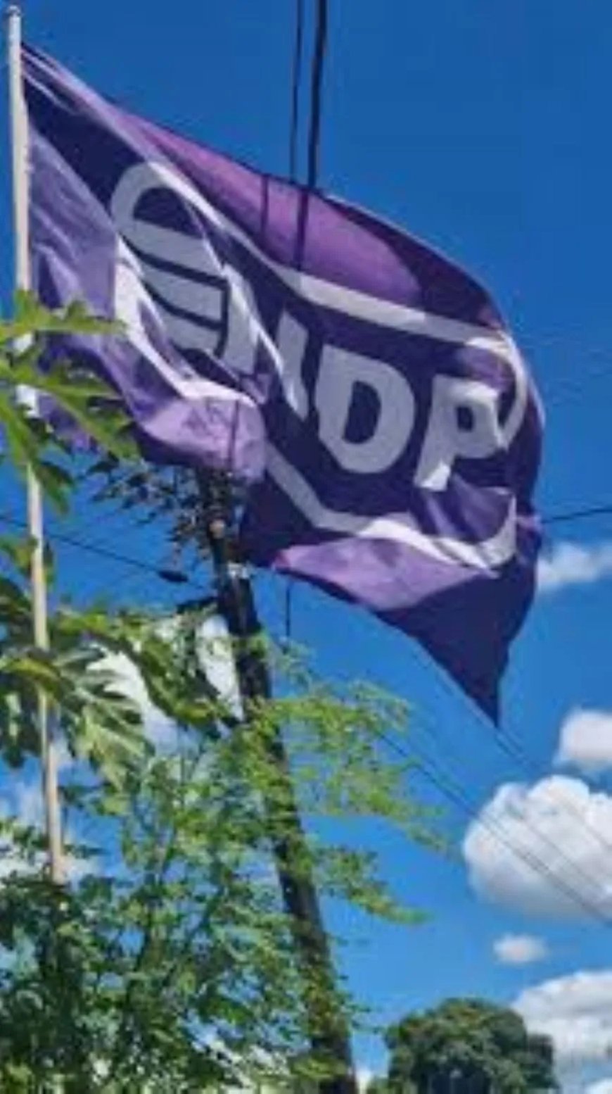 Paars zwijgt, macht beweegt: wanneer stilte het voorportaal van afrekening wordt  