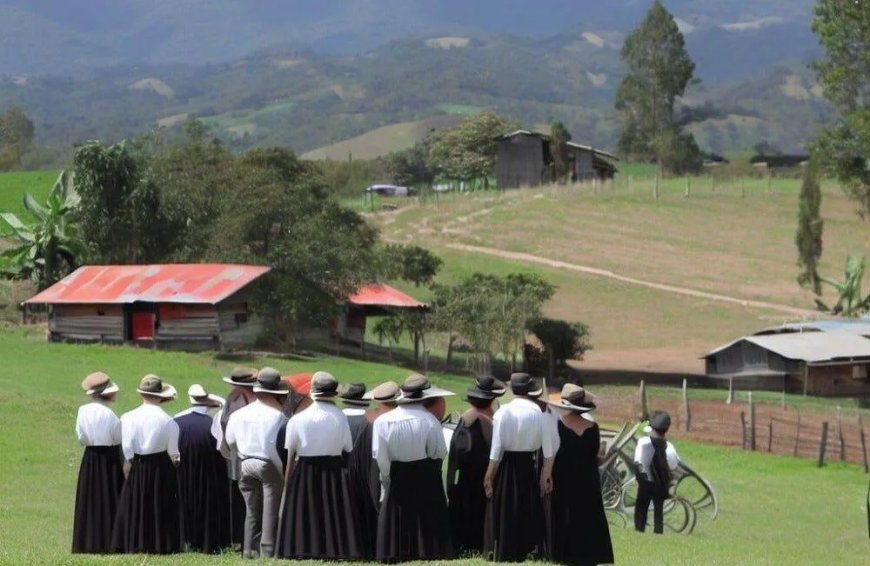 Mennonieten in Colombia vervolgd voor ontbossing