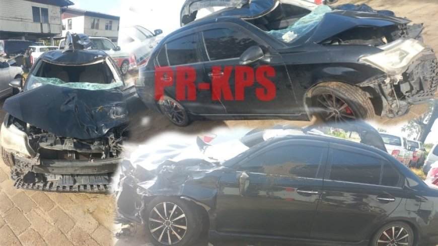 Loslopende koe dood gereden door autobestuurder