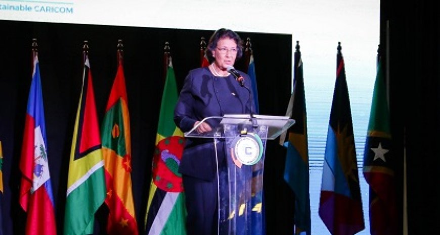 President Simons benadrukt jongeren, energie en regionale zelfredzaamheid op CARICOM-top