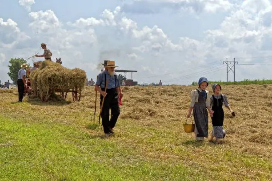 Mennonieten vestigen zich en zetten Suriname voor keuzes over land- en landbouwontwikkeling