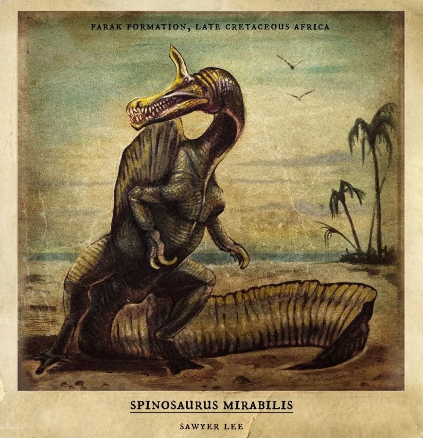 Opmerkelijk – Fossielen gevonden in Niger van nieuwe dinosaurussoort: een van grootste vleese