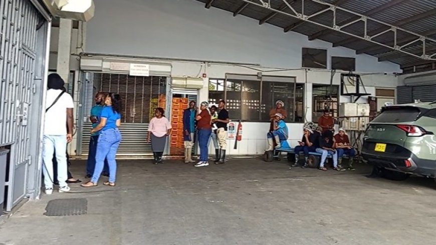 “We want Atompai, we want Atompai”: personeel Melkcentrale in beraad