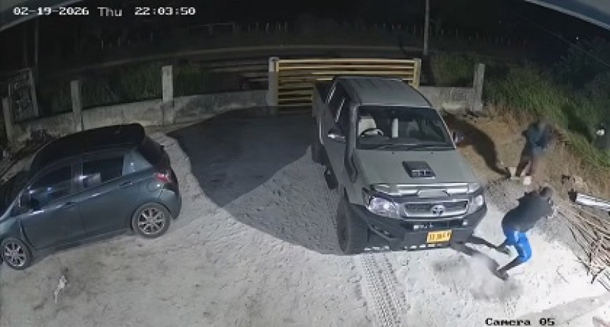 Gegijzelde M.S. is terecht