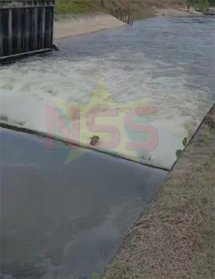 Drie Wakaypompen operationeel: water stroomt naar rijstpolders in Nickerie