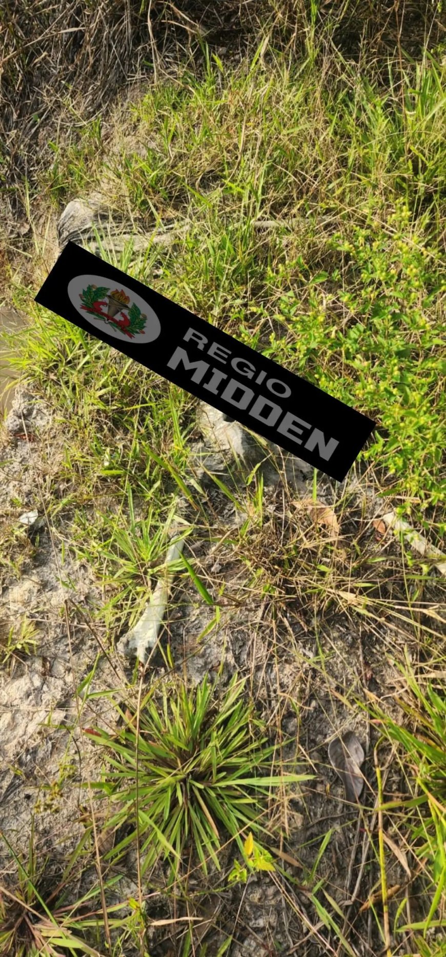 Skelet van een persoon aangetroffen in zijweg Javaweg