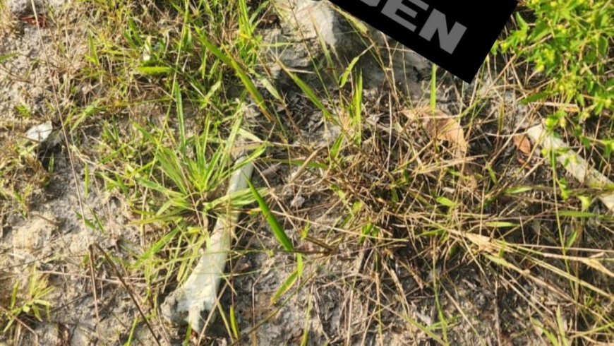 Skelet aangetroffen in zijweg Javaweg: identiteit nog onbekend