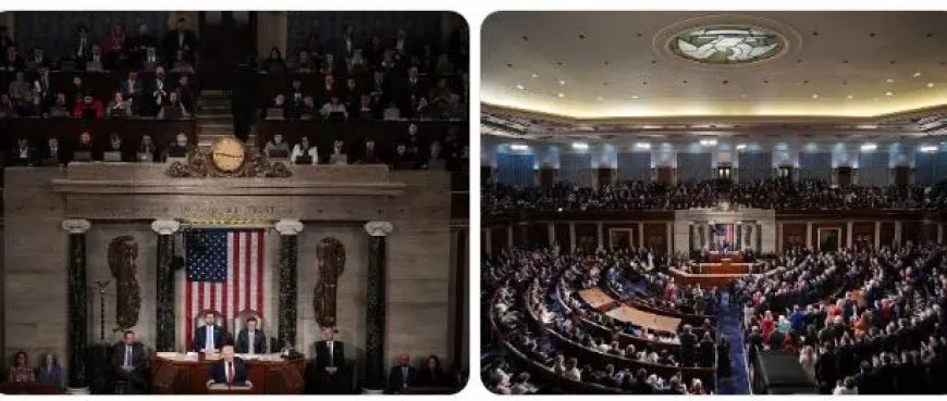 Trump houdt verdeelde toespraak voor het Congres