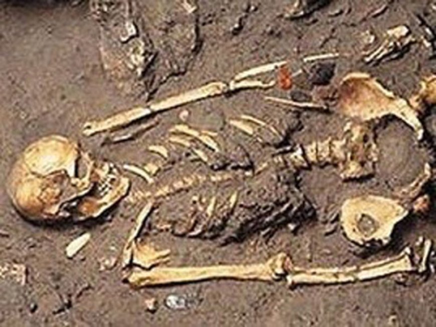 Menselijke resten aangetroffen