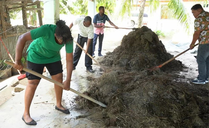Toepassing van aangeleerde landbouwkennis nóg belangrijker dan training