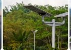 Groene energie en de Surinaamse realiteit