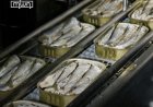 Marokko stopt sardine-export naar EU