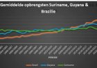 Surinaamse rijstsector onder druk: keuze nodig