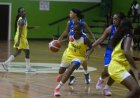 Basketbalsters Yellow Birds delen eerste tik uit in thriller