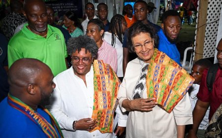 President Simons en premier Barbados bespreken industrie, energie en voedselzekerheid