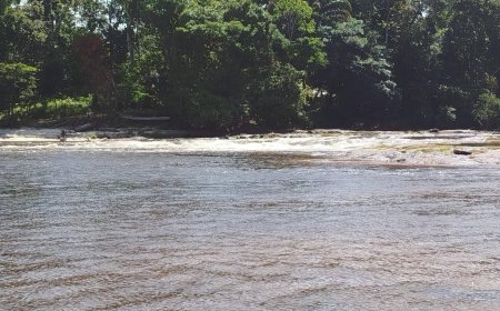 Fatale duik in sula eist leven van toerist, lijk geborgen