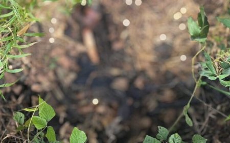 Lichaam in verregaande staat van ontbinding aangetroffen in Klaaskreek