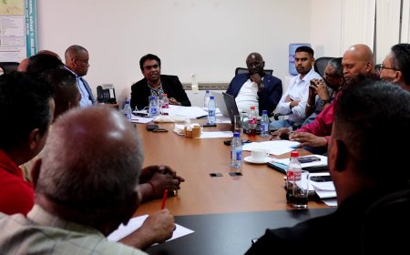 Overeenstemming over padieprijs na overleg LVV en rijstboeren