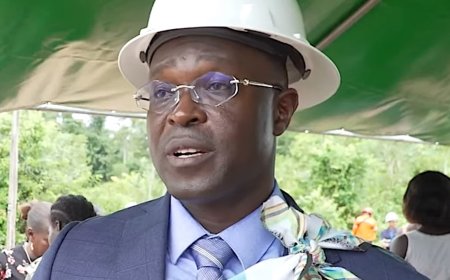 Persconferentie Leo Brunswijk op laatste moment afgeblazen