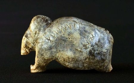 Opmerkelijk – De mens kon mogelijk al 40.000 jaar eerder ‘schrijven’ dan werd gedacht