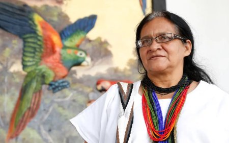 Colombiaanse Leonor Zalabata Torres eerste inheemse persoon in VN-Veiligheidsraad 