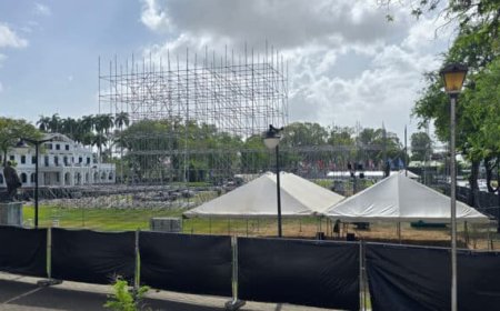 WEDEROM IN DE MANGEL