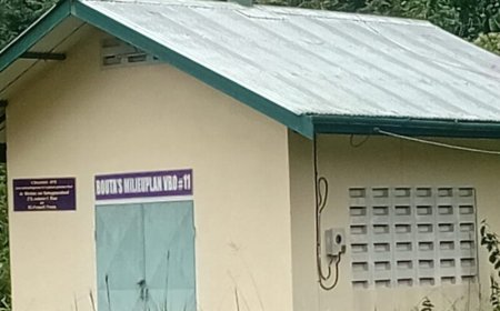 Kapitaalvernietiging door ongebruikte vuilverbrandingsovens binnenland