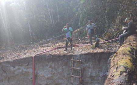 Bodem bij goudmijnen ‘biologisch dood’: “Je kunt hier niets meer planten”
