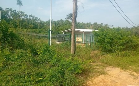 Zonne-energie centrales Boven-Suriname staan er verwaarloosd bij