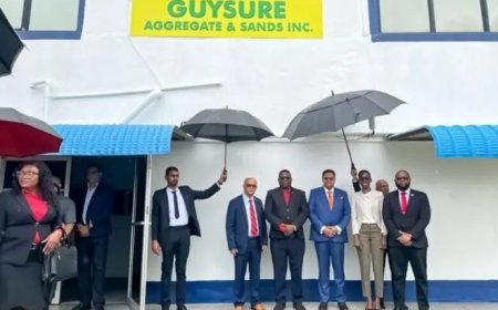 Schaduwen over GuySure